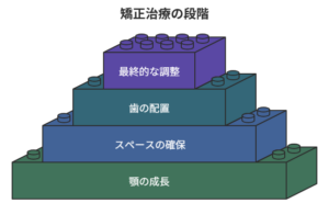 矯正の土台