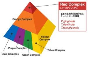 レッドコンプレックス