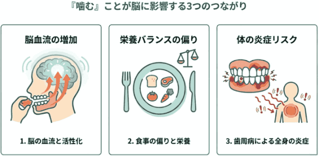 噛むことが脳に影響する３つの繋がり (1) (1)